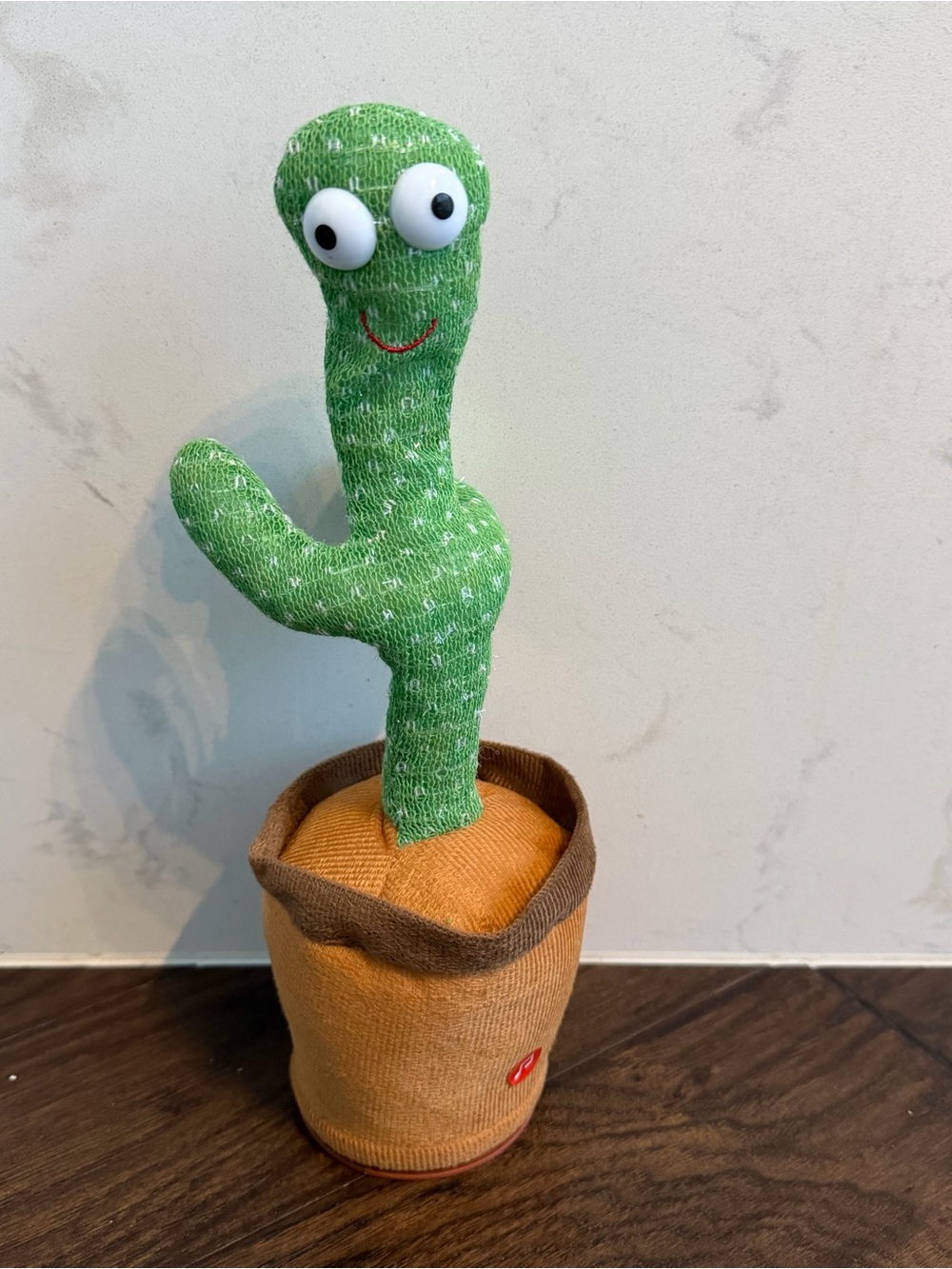 Dancing cactus